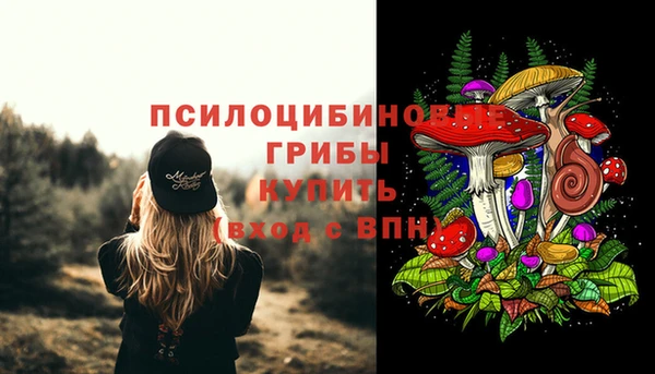 стаф Беломорск