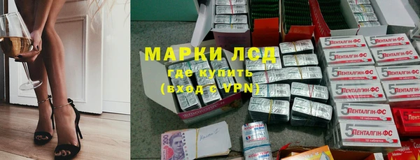 стаф Беломорск
