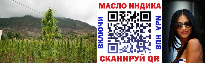 Дистиллят ТГК THC oil  mega как зайти  Буйнакск  где можно купить  