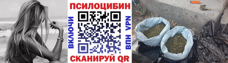 Галлюциногенные грибы GOLDEN TEACHER  Буйнакск 